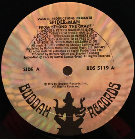 Ron Dante, The Webspinners : The Amazing Spider-Man: From Beyond The Grave - A Rockomic (LP, Album, Gat)
