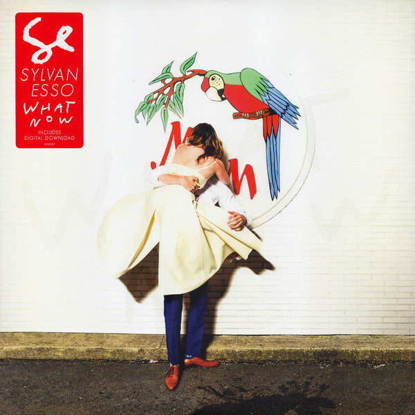 Sylvan Esso : What Now (LP, Album, Gre)