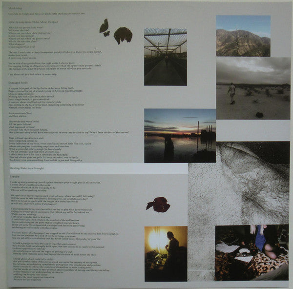 JH1.FS3 : Loyalty (LP, Album, Cle)