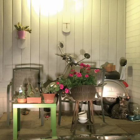 Soft Shoulder : Repeat #4 aka Desert Plants and Scooter in Carport (LP, Album, Ltd)