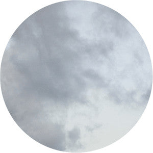 Jamie Stewart (2) : David Horvitz Picture Disc #2 (7", Ltd, Pic)
