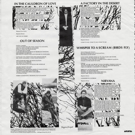 Icicle Works* : Icicle Works (LP, Album, Ind)