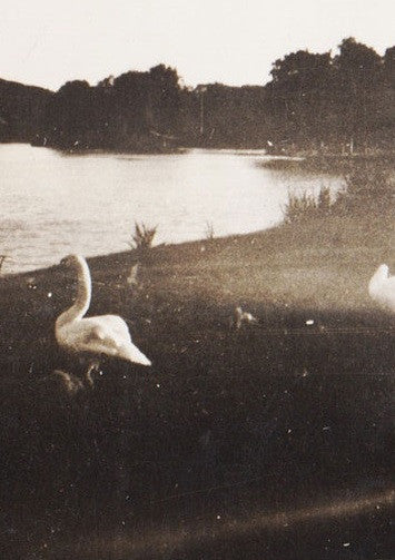 Dufwa : Fältinspelningar Från Terres De L'Ebre (Cass, Album, Ltd, Num)