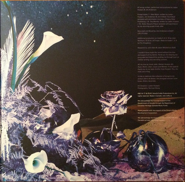 Cold Specks : Fool's Paradise (LP, Album)