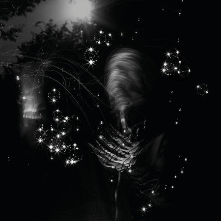 Anemone Tube : The Three Worlds - Forget Heaven (CD, Album)