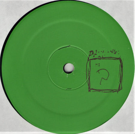 Paekong Mae's Integer & Real Fathom Band : Last Year In Marion's Bladder (LP, Ltd)