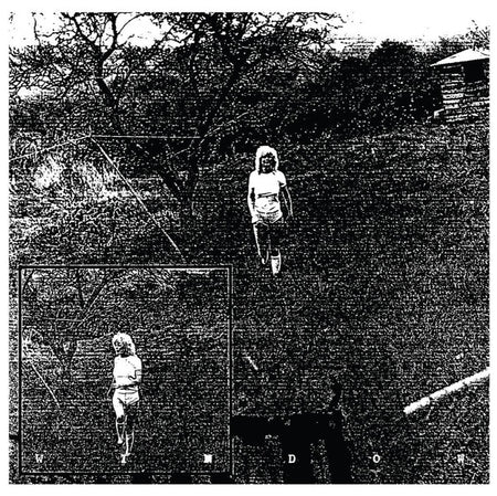 Rohit (2) : Window (LP, Album, Ltd)