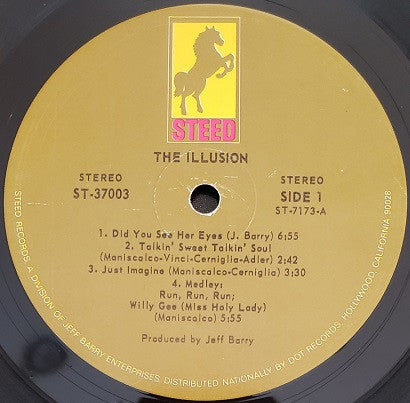 The Illusion : The Illusion (LP, Album, Ind)
