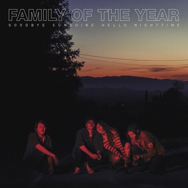 Family Of The Year : Goodbye Sunshine, Hello Nighttime (LP, Album)