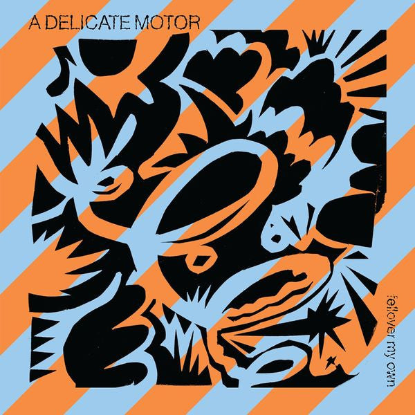 A Delicate Motor : Fellover My Own (CD, Album)