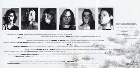 Nirvana : Incesticide (CD, Comp, RE)