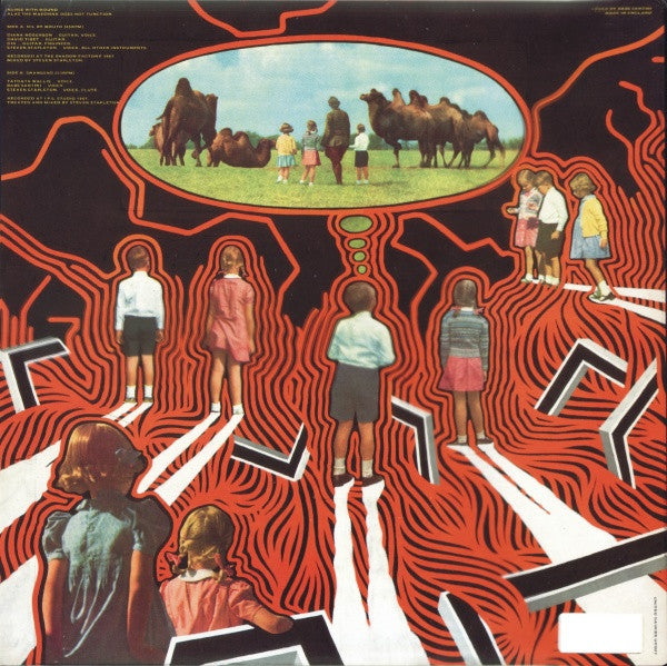 Nurse With Wound : Alas The Madonna Does Not Function (12")