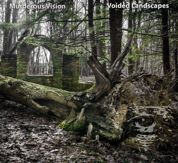 Murderous Vision : Voided Landscapes  (CD, Album)