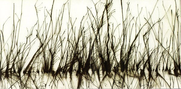 Daniel Menche : Glass Forest (CD, Album)