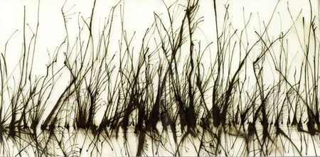 Daniel Menche : Glass Forest (CD, Album)