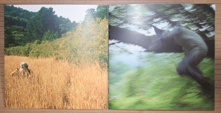 Wildildlife : Six (CD, Album)