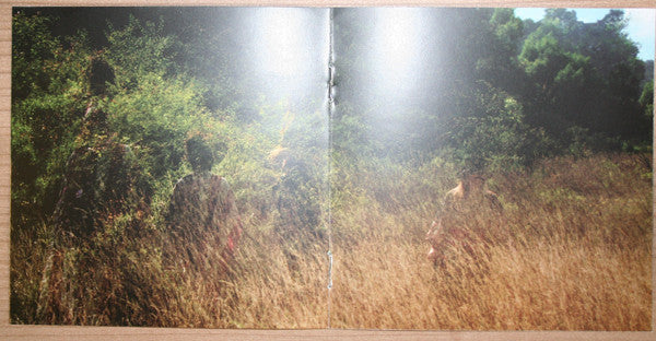 Wildildlife : Six (CD, Album)