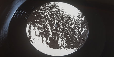 Evilfeast : Isenheimen (LP, Ltd)