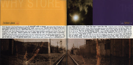 The Why Store : The Why Store (CD, Album)
