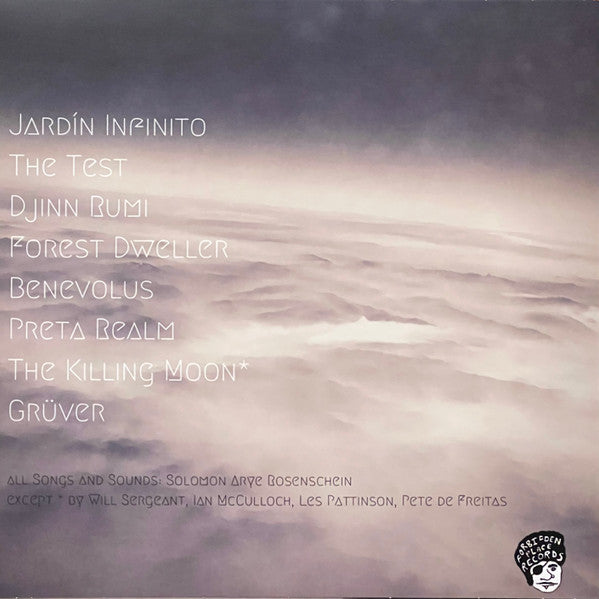 STAHV : STAHV (LP, Album, Ltd, Tra)