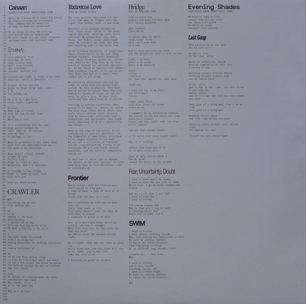 Holly Herndon : Proto (LP, Album, Ltd, Cle)