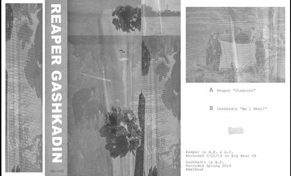 Reaper (18) / Gashkadin : Split (Cass, Ltd, C35)