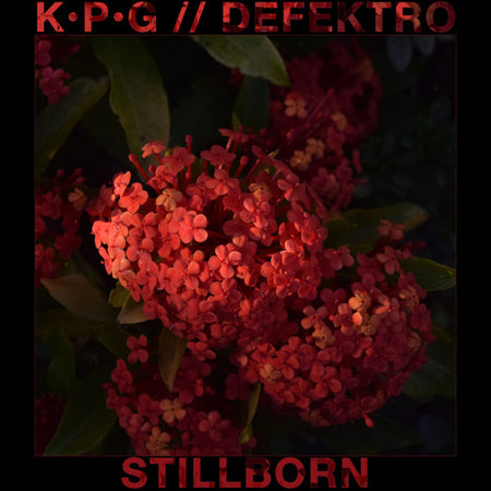 K P G & Defektro : Stillborn (Cass, Ltd)