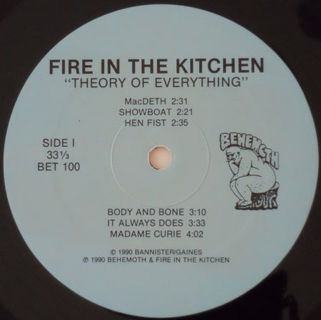 Fire In The Kitchen : Theory Of Everything (LP, Album)