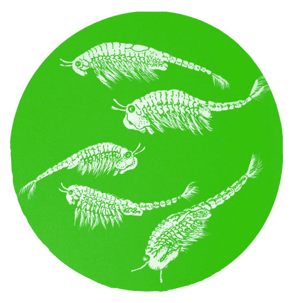 Angelo Bignamini : Bugs (CDr, Mini, Album)