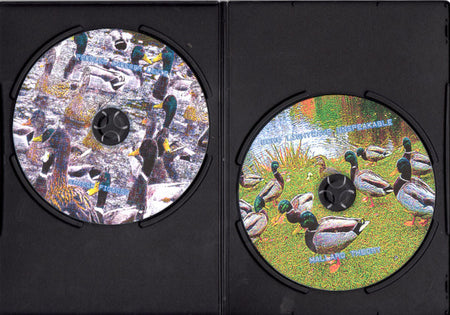 Problem Anderer Leute / Shadow Figures / Echo Lightwave Unspeakable / Mallard Theory : A 4 Way Split About Ducks (2xCDr, Ltd, Num)