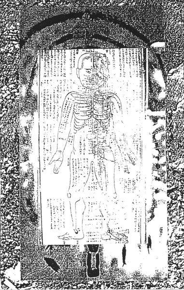 Mo*Te : Love The Junk Of Society (Cass, C20)