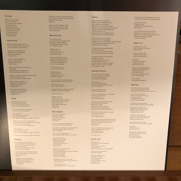 Field Mouse : Meaning (LP, Album, Tra)