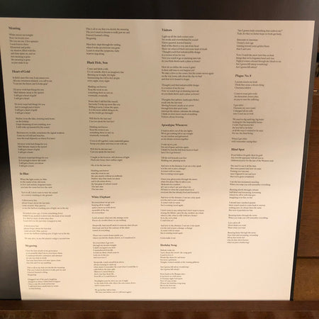 Field Mouse : Meaning (LP, Album, Tra)