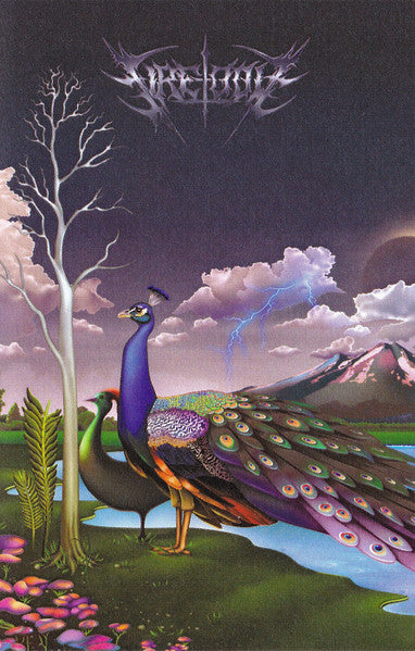 Fire-Toolz : Field Whispers (Into The Crystal Palace) (Cass, Album)