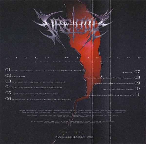 Fire-Toolz : Field Whispers (Into The Crystal Palace) (Cass, Album)