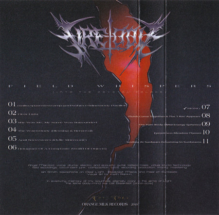 Fire-Toolz : Field Whispers (Into The Crystal Palace) (Cass, Album)