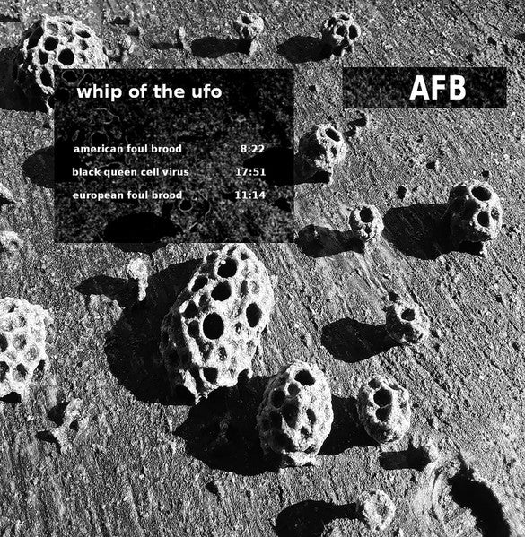 Whip Of The UFO : AFB (CDr)