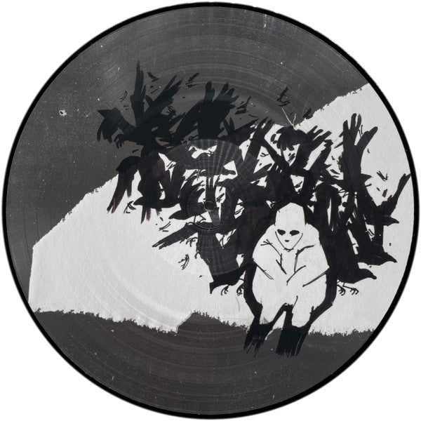 Andrew Jackson Jihad : Can’t Maintain. (LP, Album, Pic, RP)