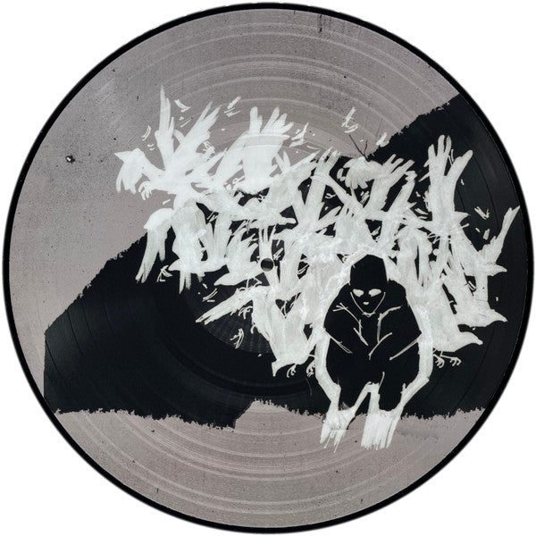 Andrew Jackson Jihad : Can’t Maintain. (LP, Album, Pic, RP)