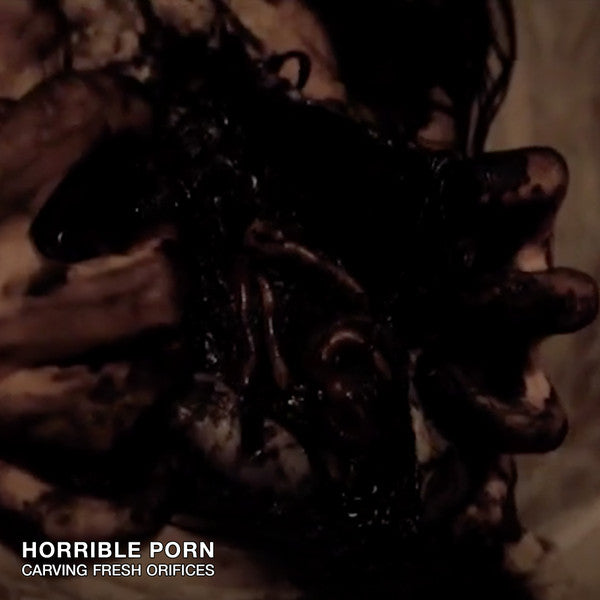 Horrible Porn : Carving Fresh Orifices (Cass, Ltd)