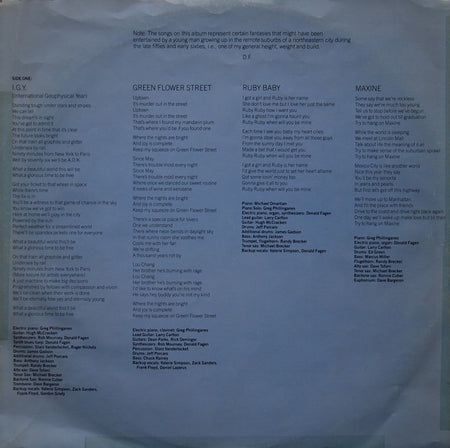 Donald Fagen : The Nightfly (LP, Album, RE)