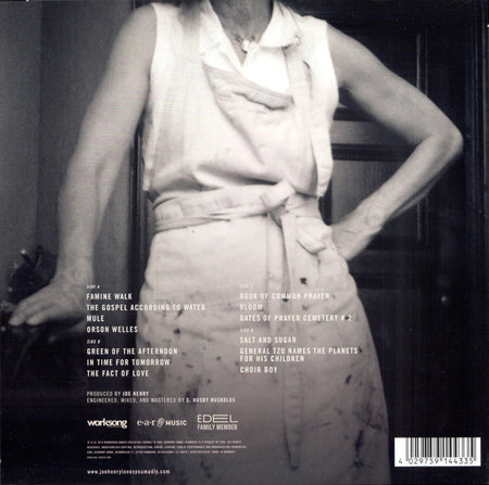 Joe Henry : The Gospel According To Water  (2xLP, Album)