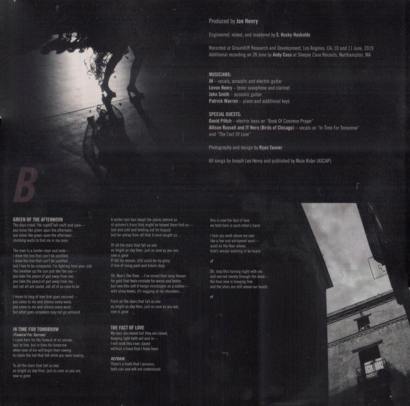 Joe Henry : The Gospel According To Water  (2xLP, Album)