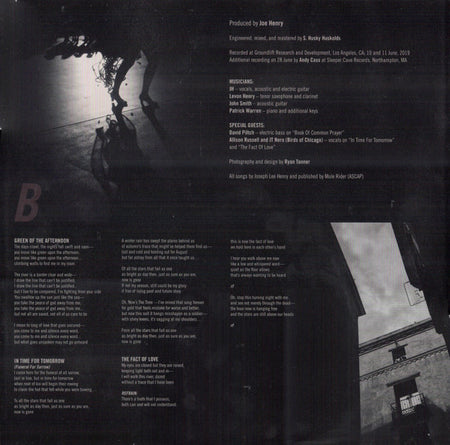 Joe Henry : The Gospel According To Water  (2xLP, Album)