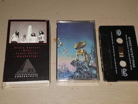 Blood Incantation : Hidden History Of The Human Race (Cass, Album, Ltd)