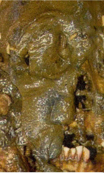 FLESHLICKER : Corpse Flower (Cass, Album, Ltd, C20)