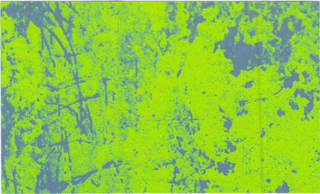 Nystrand* / Klein* : Bayou Stickee (Cass, Album, C22)