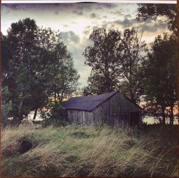 Sarah Harmer : Are You Gone (LP, Album)