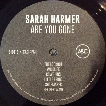 Sarah Harmer : Are You Gone (LP, Album)