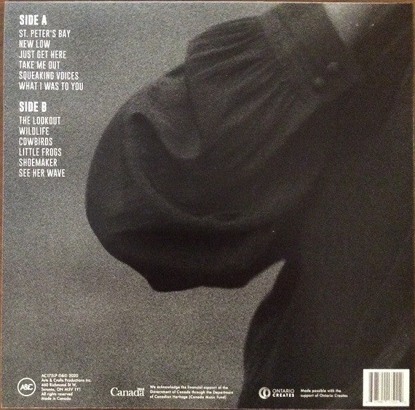 Sarah Harmer : Are You Gone (LP, Album)